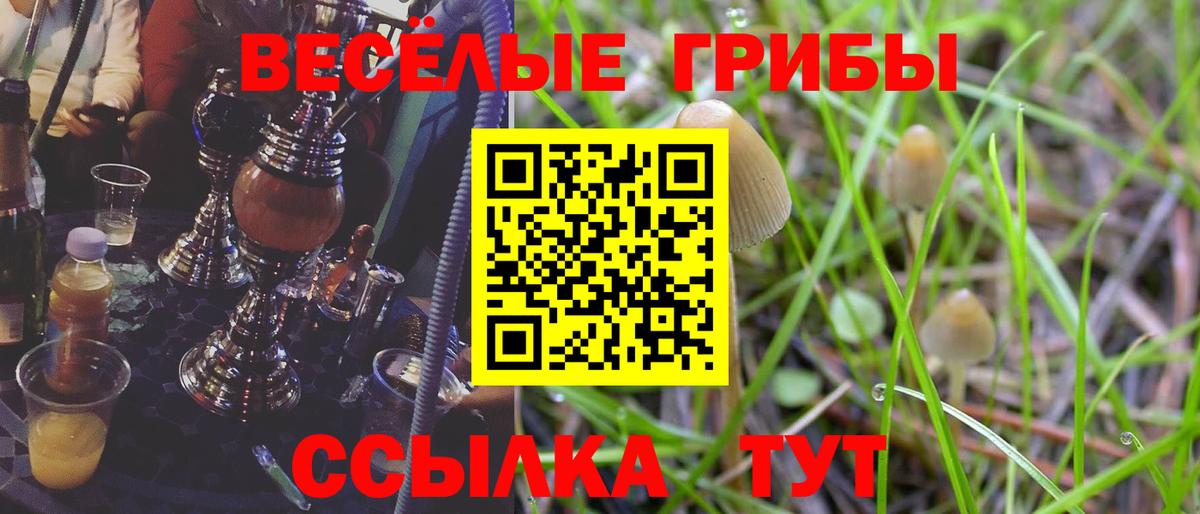 Беслан  Галлюциногенные грибы MAGIC MUSHROOMS  Вход с VPN 